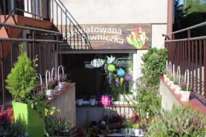 Zakwiatowana Piwniczka