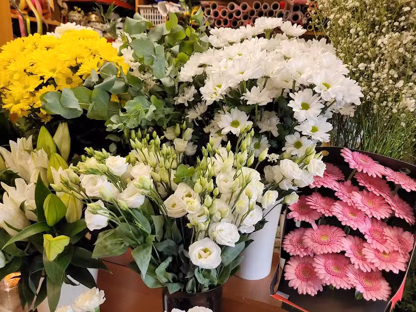 Zawadzka Joanna P.U.H. „Adeks”