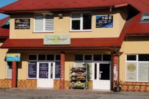 Zielone Badyle – Kwiaciarnia