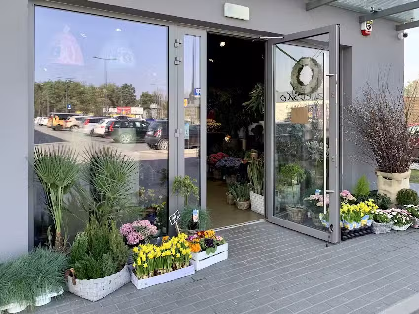 Zielsko Kwiaciarnia – Kwiaciarnia w Otwocku