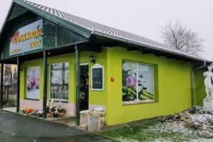 Ziętek Ewa. Kwiaciarnia